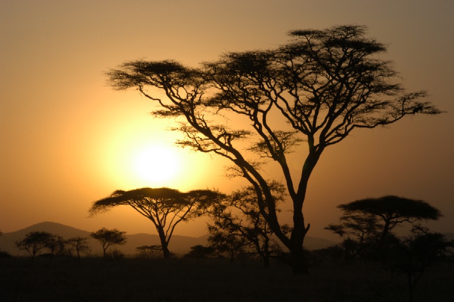 Sunset, Serengeti