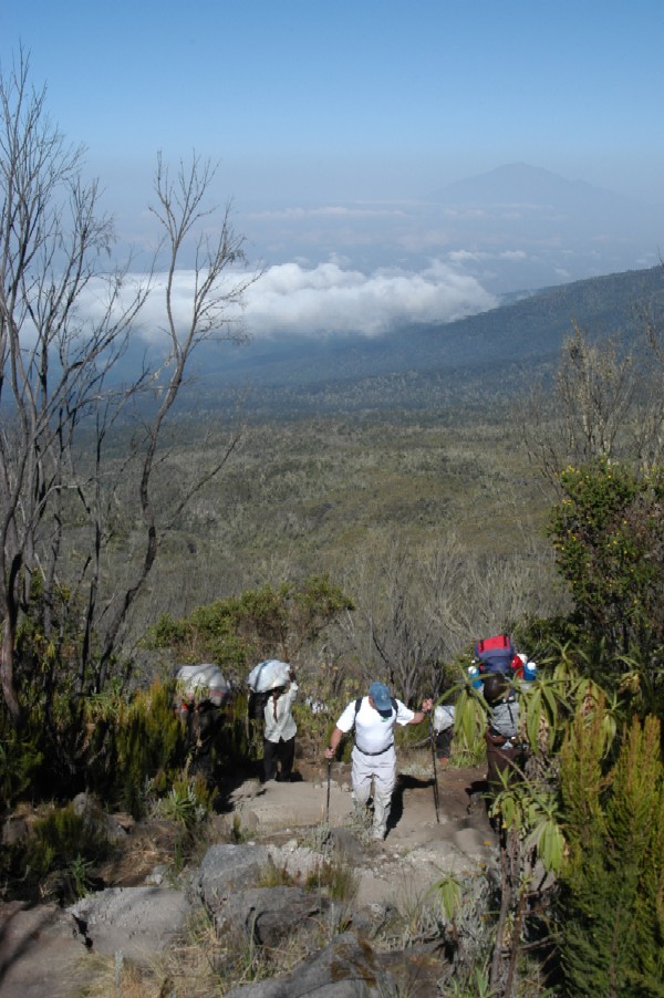 Climbing Kilimanjaro, Tanzania