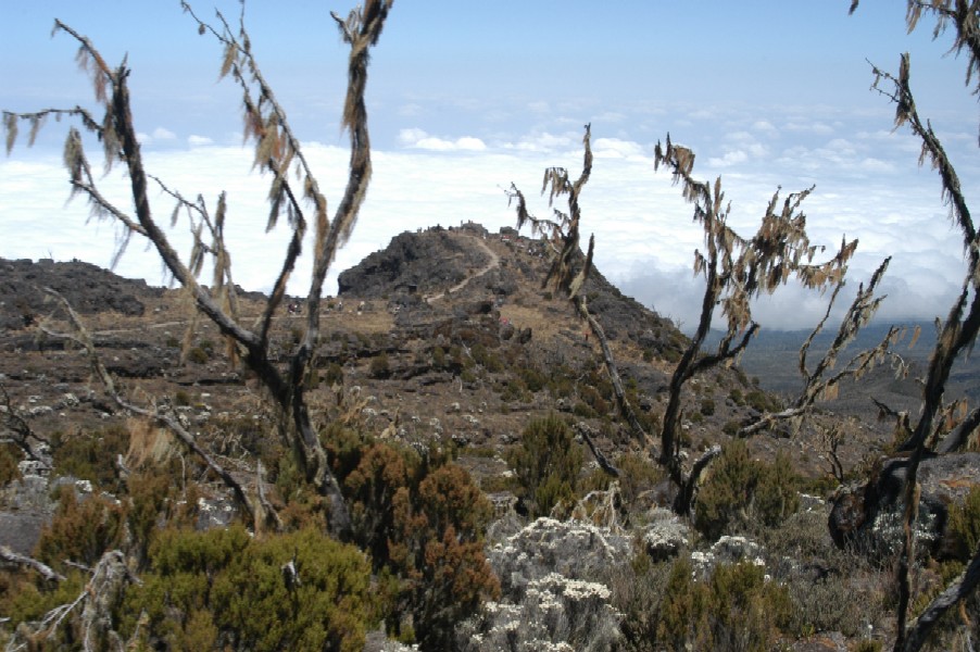 Climbing Kilimanjaro, Tanzania