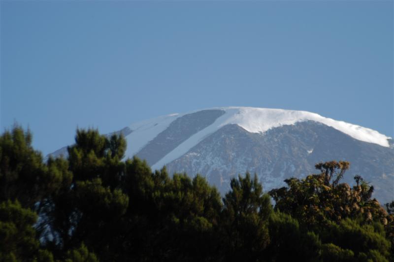 Climbing Kilimanjaro, Tanzania