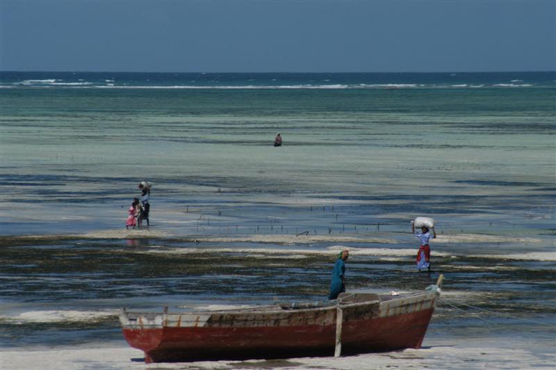 Paje, Zanzibar