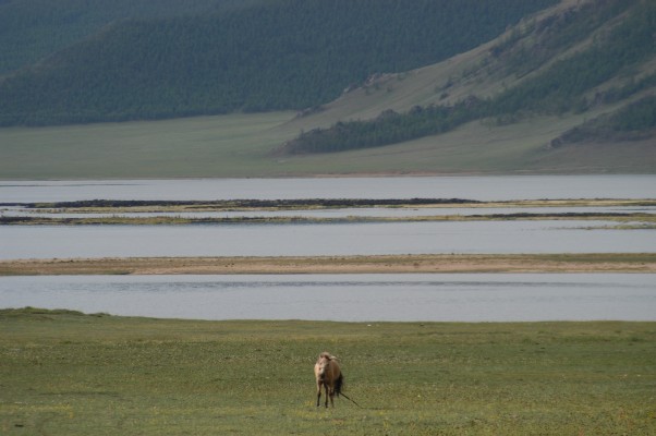 White Lake Mongolia