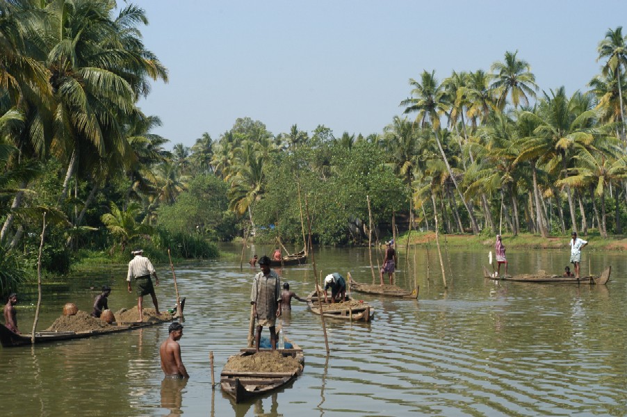 Backwaters, Kerela, India