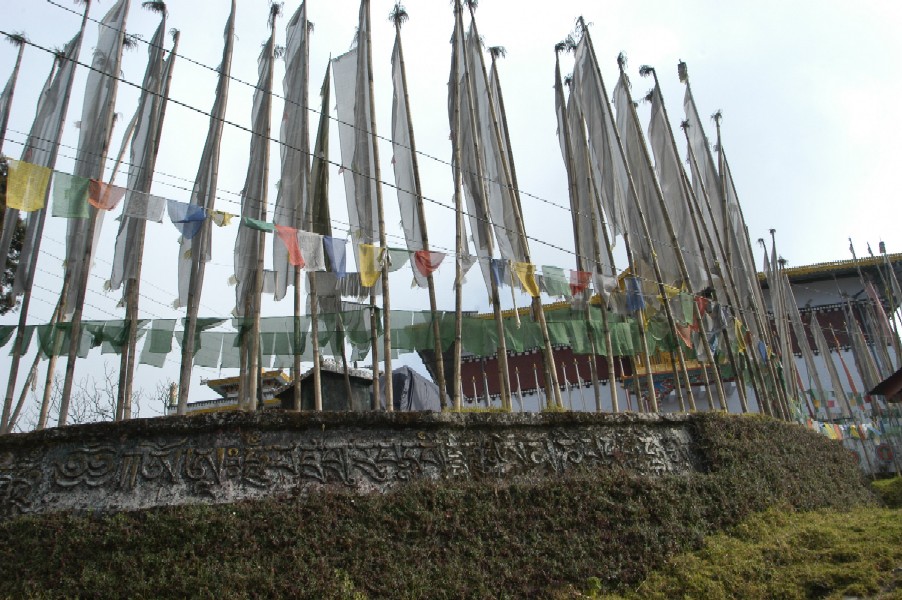 Prayer Flags, Pemayangtse Gompa, Pelling, Sikkim