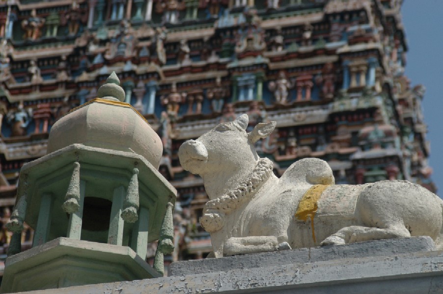 Sri Meenaksi Temple, Madurai, Tamil Nadu, India