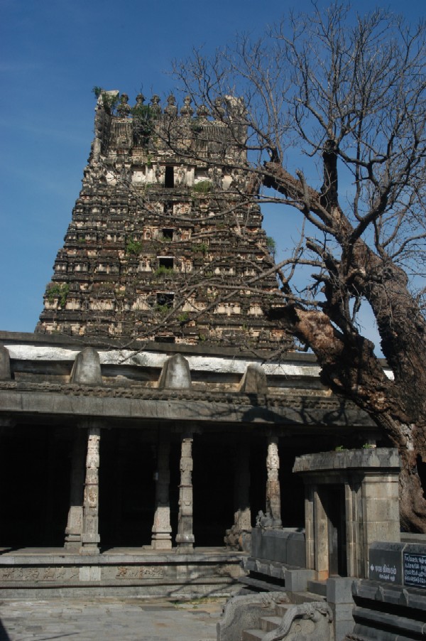 Kanchipuram, Tamil Nadu, India