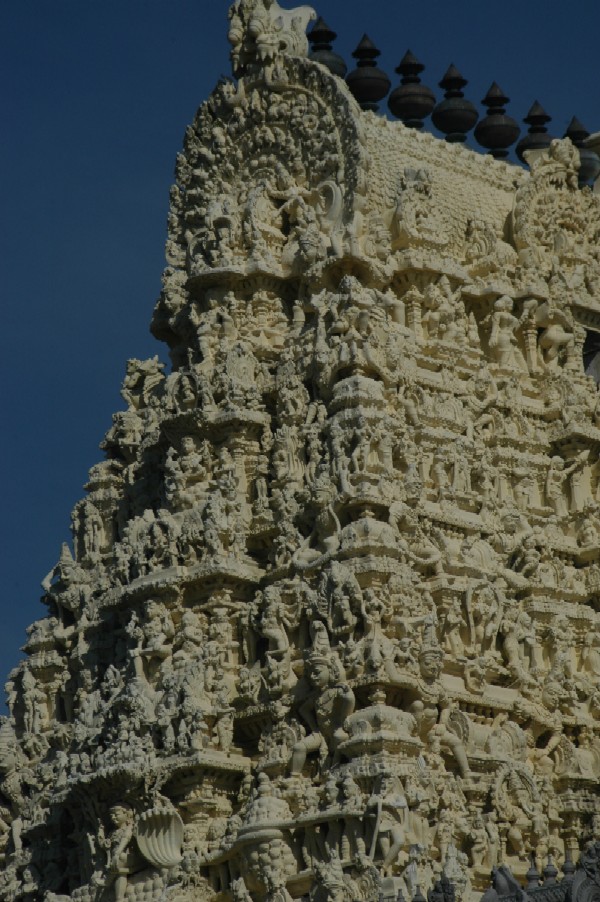Kanchipuram, Tamil Nadu, India