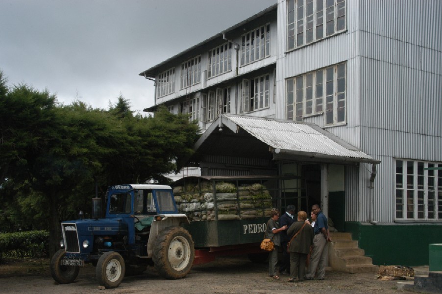 Pedro Tea Estate, Nuwara Eliya, Sri Lanka