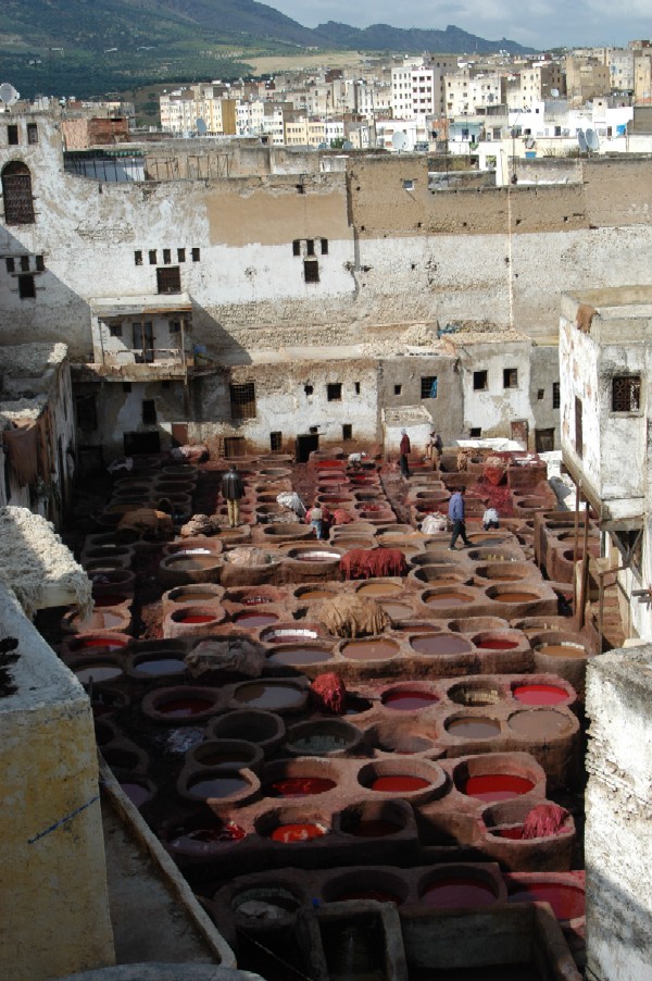 Fes Tanneries