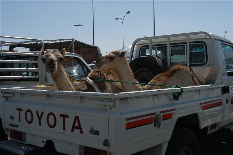 Buraimi, Oman